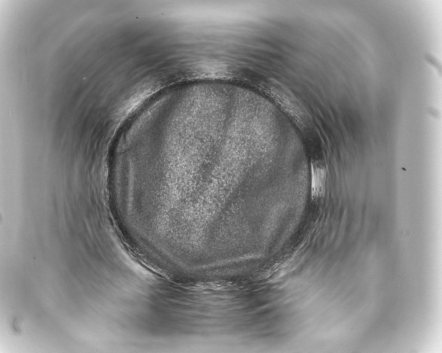 X0000093430627200711021035