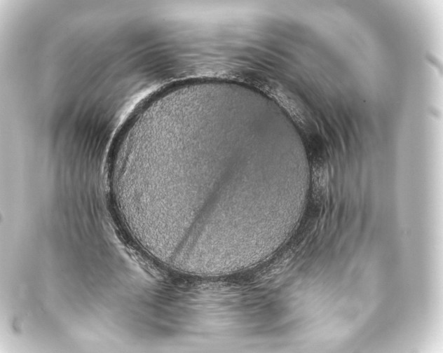 X0000093430628200711021035