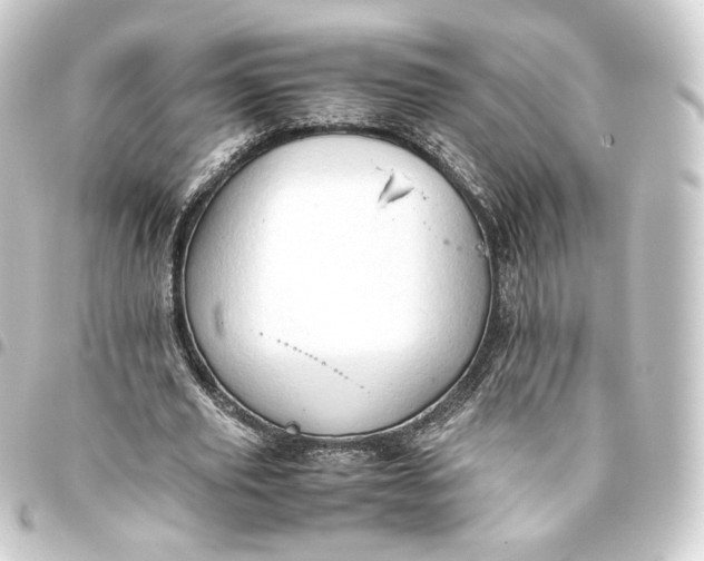 X0000093430629200711021035