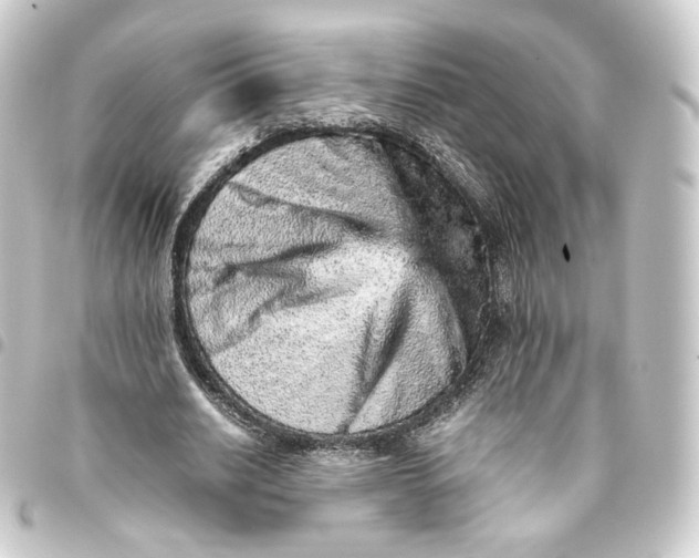 X0000093430630200711021035