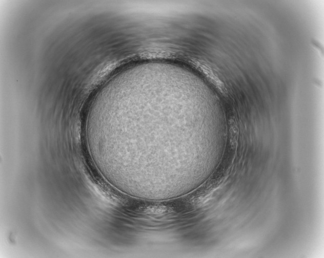 X0000093430631200711021035