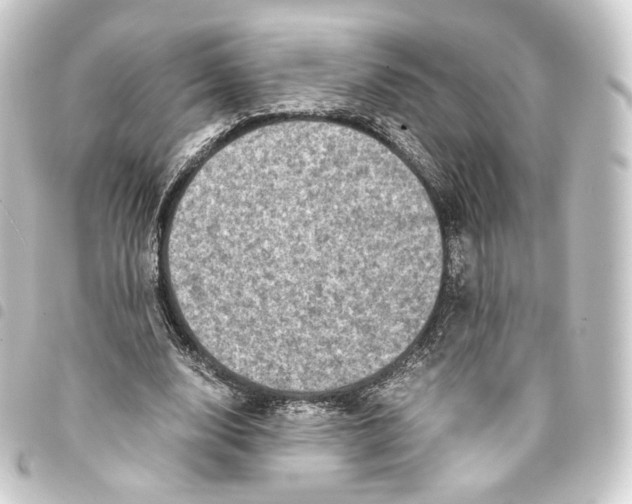 X0000093430632200711021035