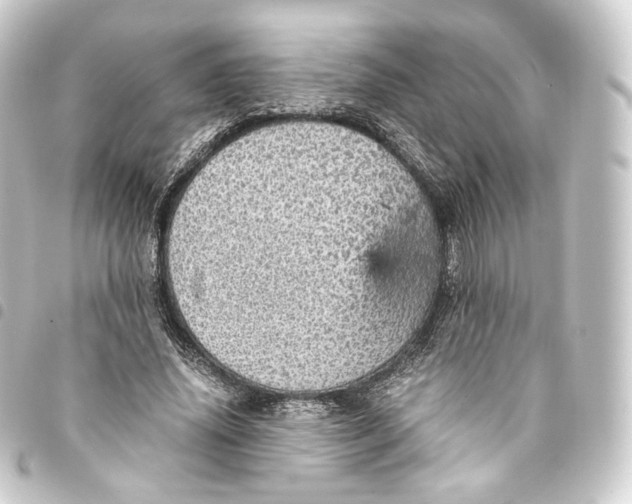 X0000093430636200711021035