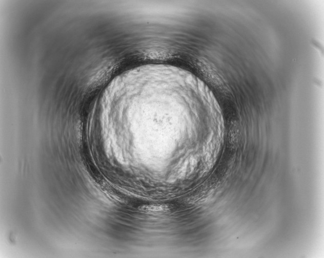 X0000093430639200711021035