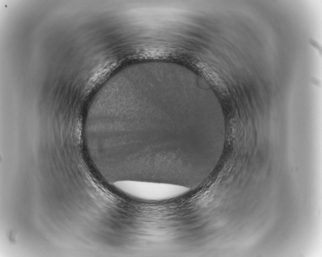 X0000093430640200711021035