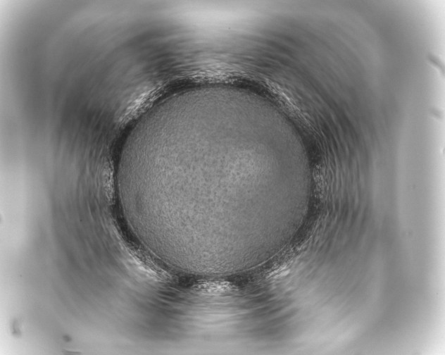 X0000093430642200711021035