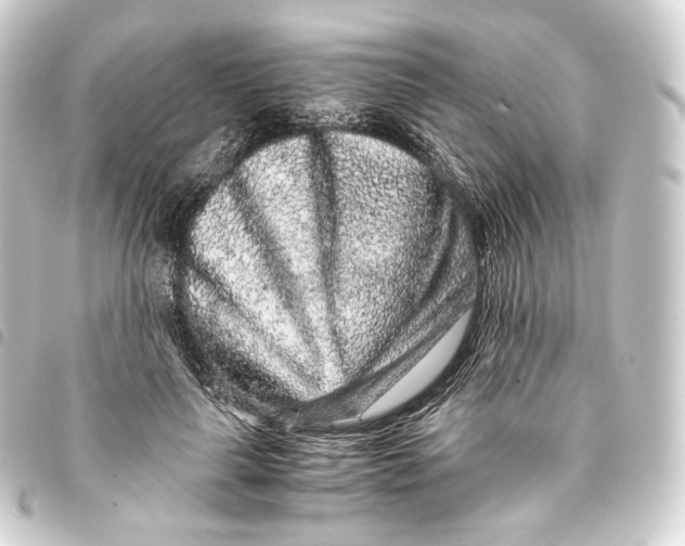 X0000093430643200711021035