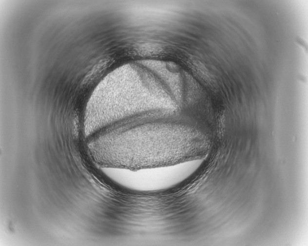 X0000093430644200711021035