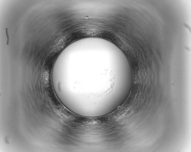 X0000093430646200711021035