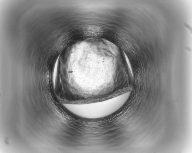 X0000093430647200711021035