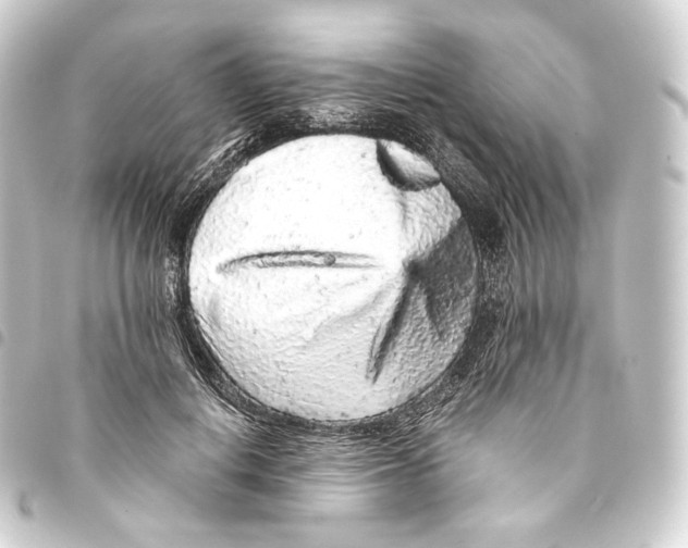 X0000093430648200711021035