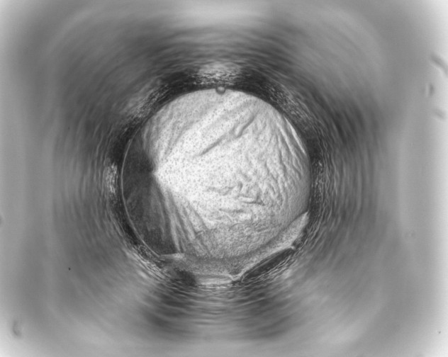 X0000093430649200711021035