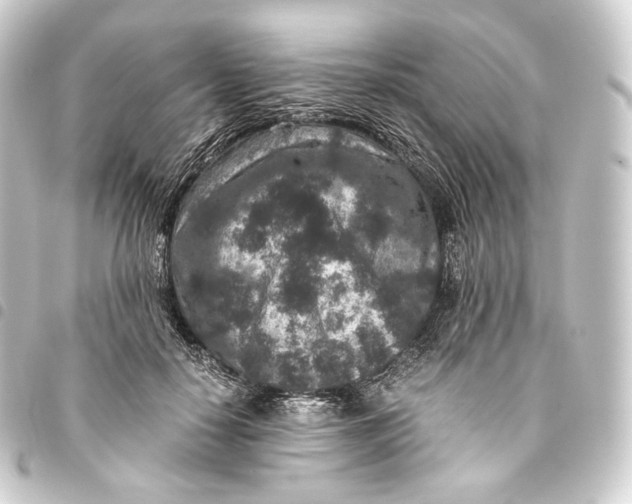 X0000093430650200711021035