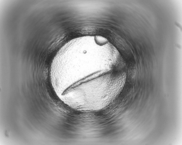 X0000093430652200711021035