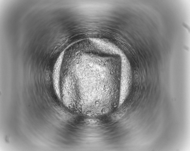 X0000093430654200711021035