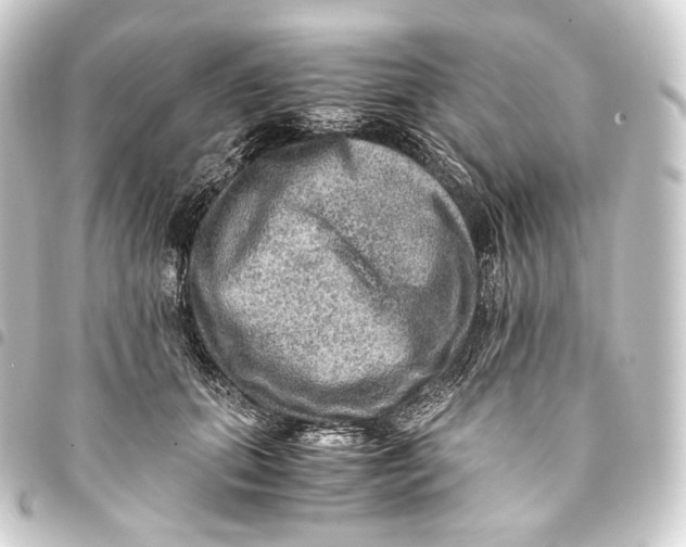 X0000093430655200711021035