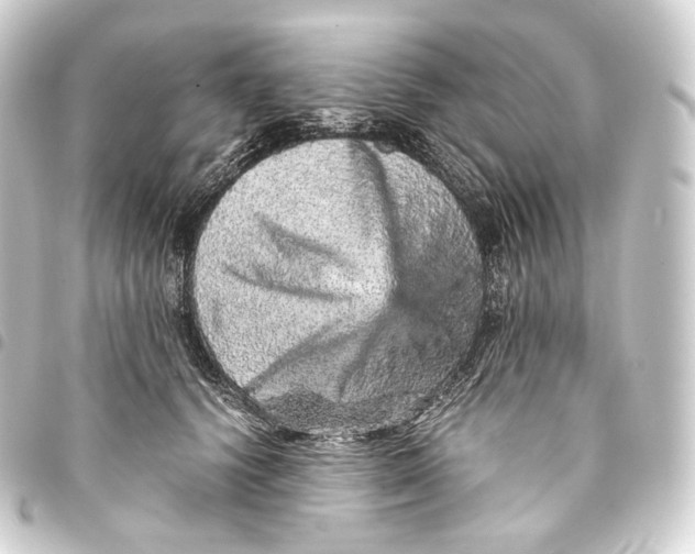 X0000093430656200711021035