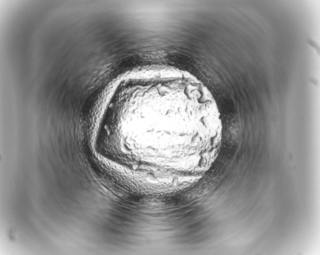 X0000093430658200711021035