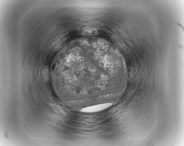 X0000093430659200711021035