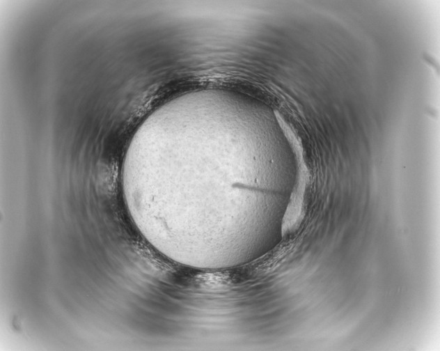 X0000093430660200711021035