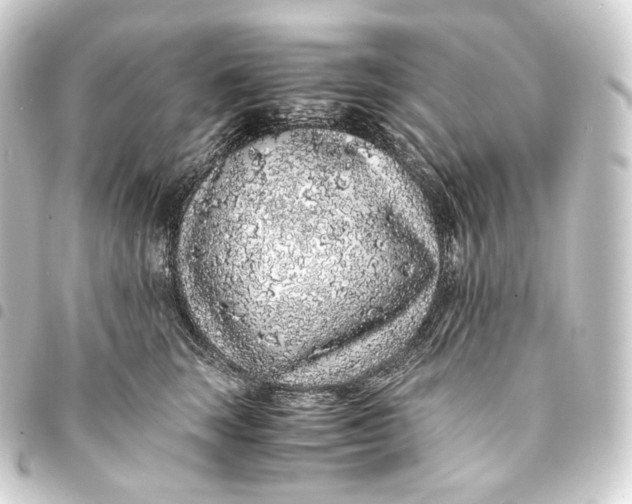 X0000093430663200711021035