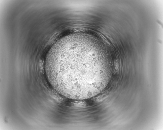 X0000093430667200711021035