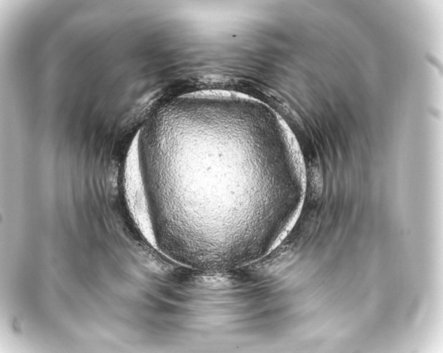 X0000093430668200711021035