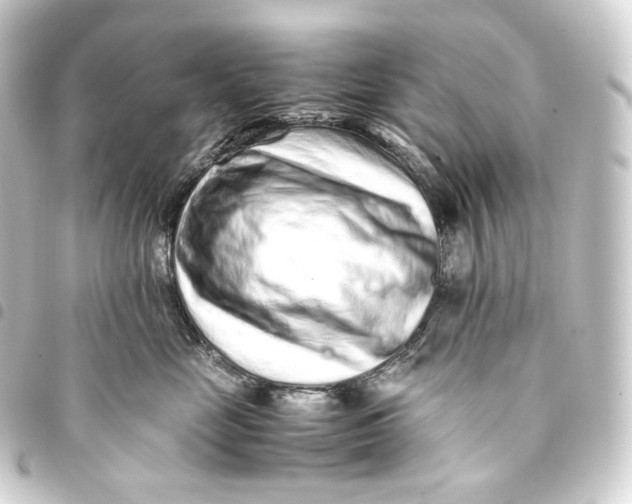 X0000093430669200711021035