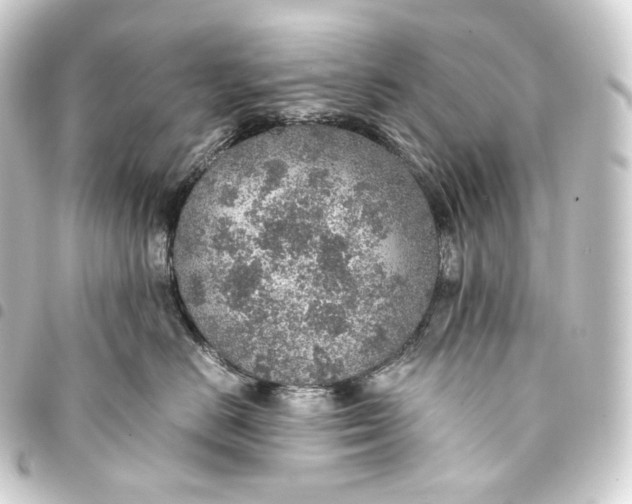 X0000093430670200711021036