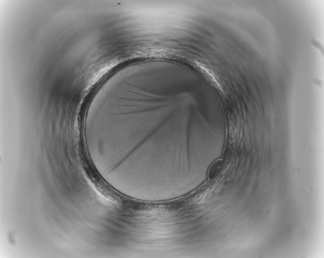 X0000093430674200711021035