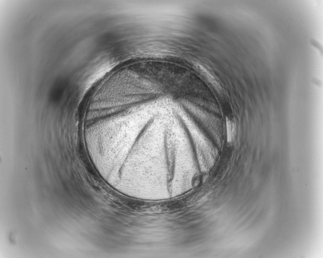 X0000093430675200711021035