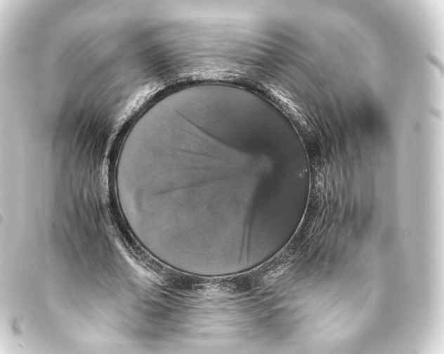 X0000093430678200711021035