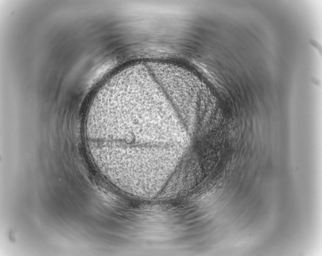 X0000093430679200711021035