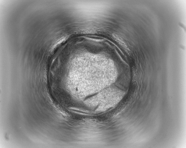 X0000093430681200711021035