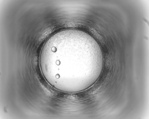 X0000093430683200711021035