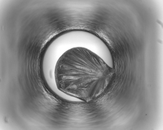 X0000093430684200711021035