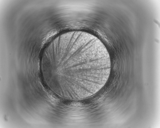 X0000093430685200711021034