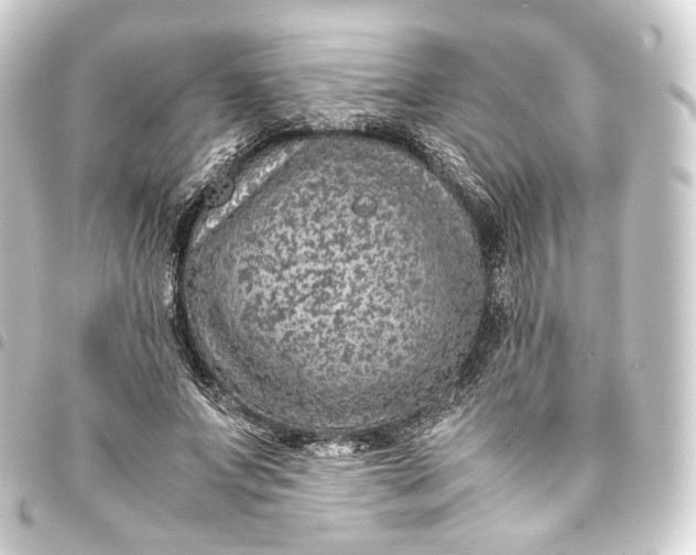 X0000093430687200711021034