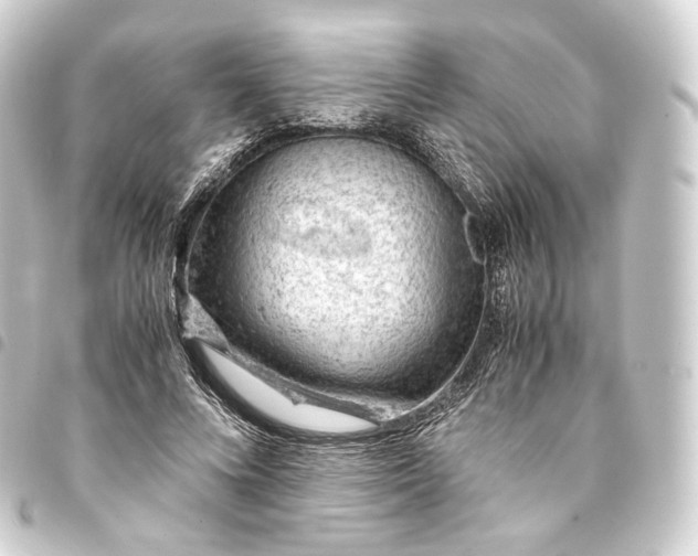 X0000093430688200711021034