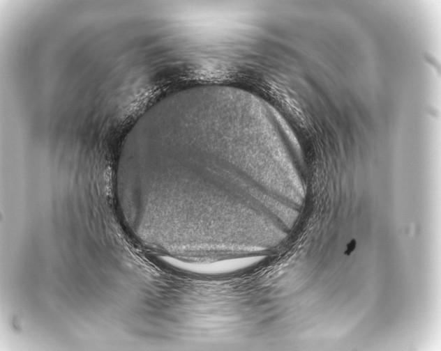 X0000093430689200711021034