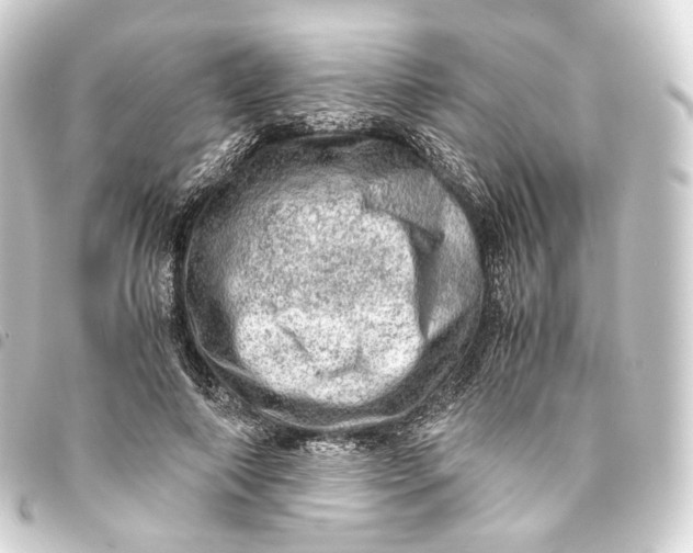 X0000093430690200711021034