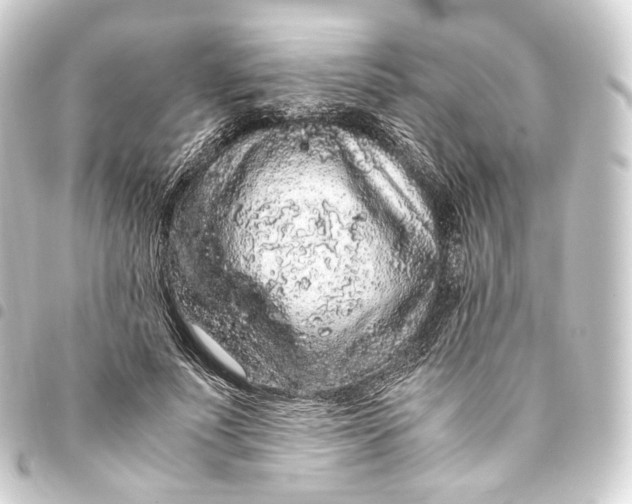 X0000093430691200711021034