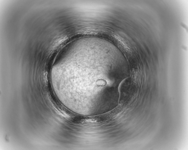 X0000093430692200711021034