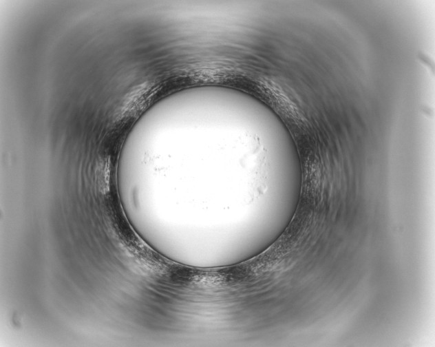 X0000093430694200711021034