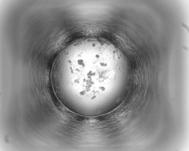 X0000093430695200711021034