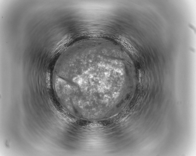 X0000093430696200711021034