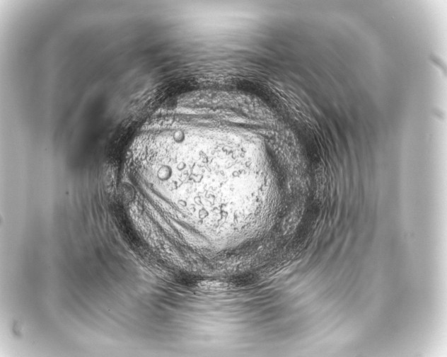 X0000093430699200711021034