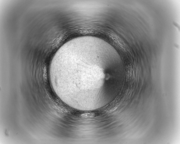 X0000093430700200711021034