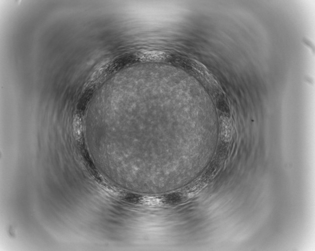 X0000093430701200711021034