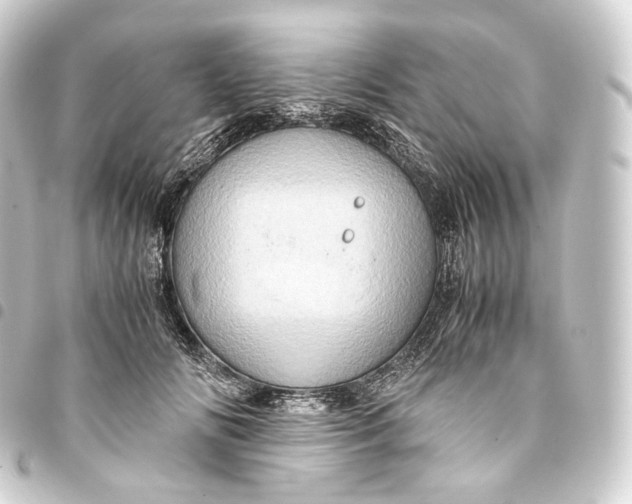 X0000093430702200711021034